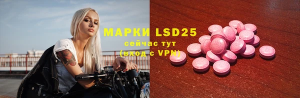 PSILOCYBIN Армянск