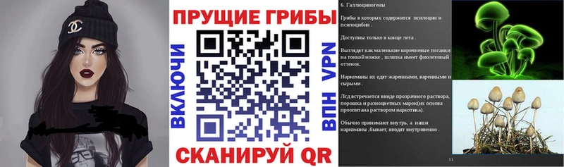 Псилоцибиновые грибы мицелий  купить   Новый Уренгой 